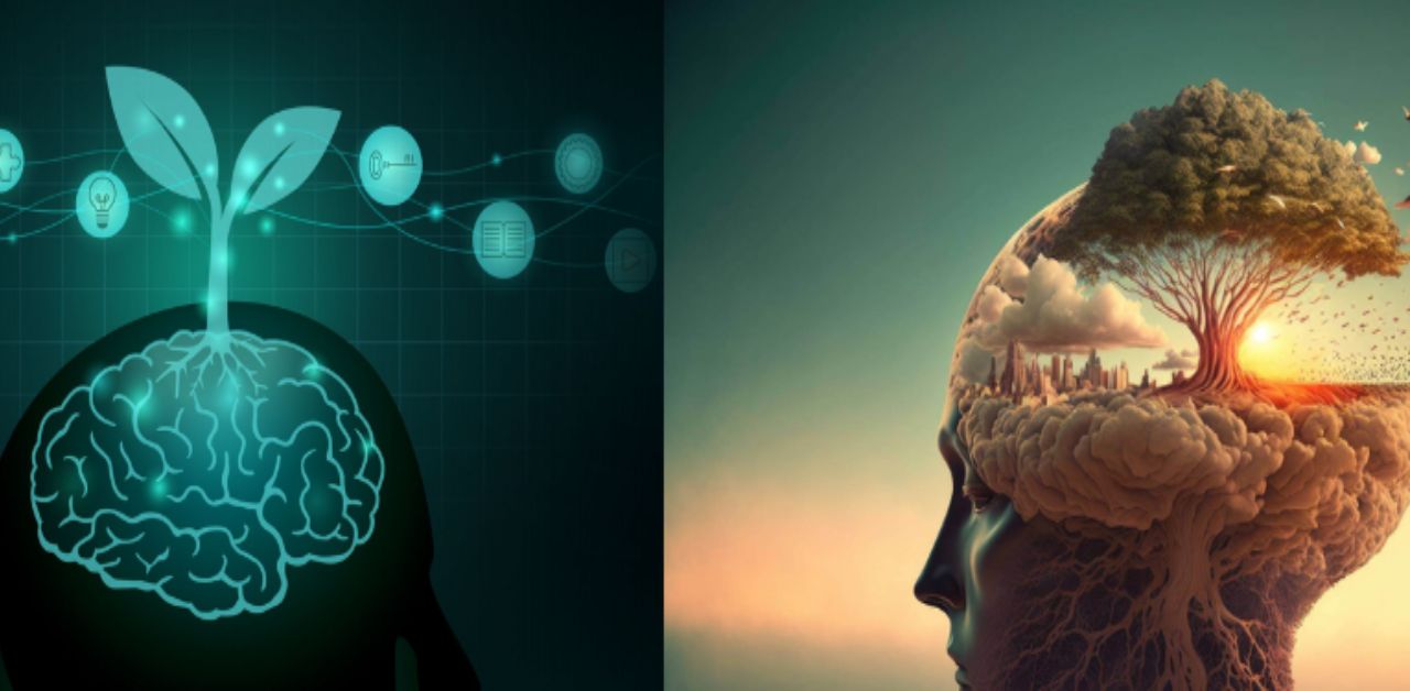 introspective-books​